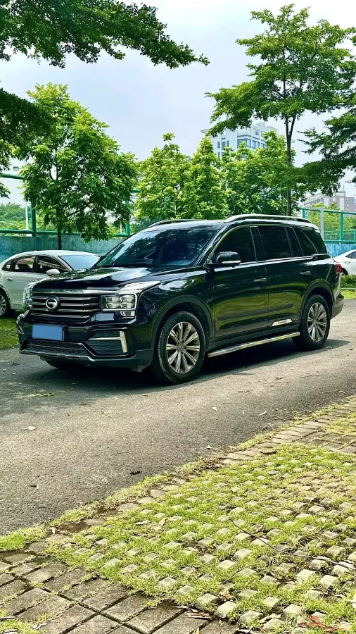 2020 GAC Trumpchi GS8 2.0T 252HP L4 6AT