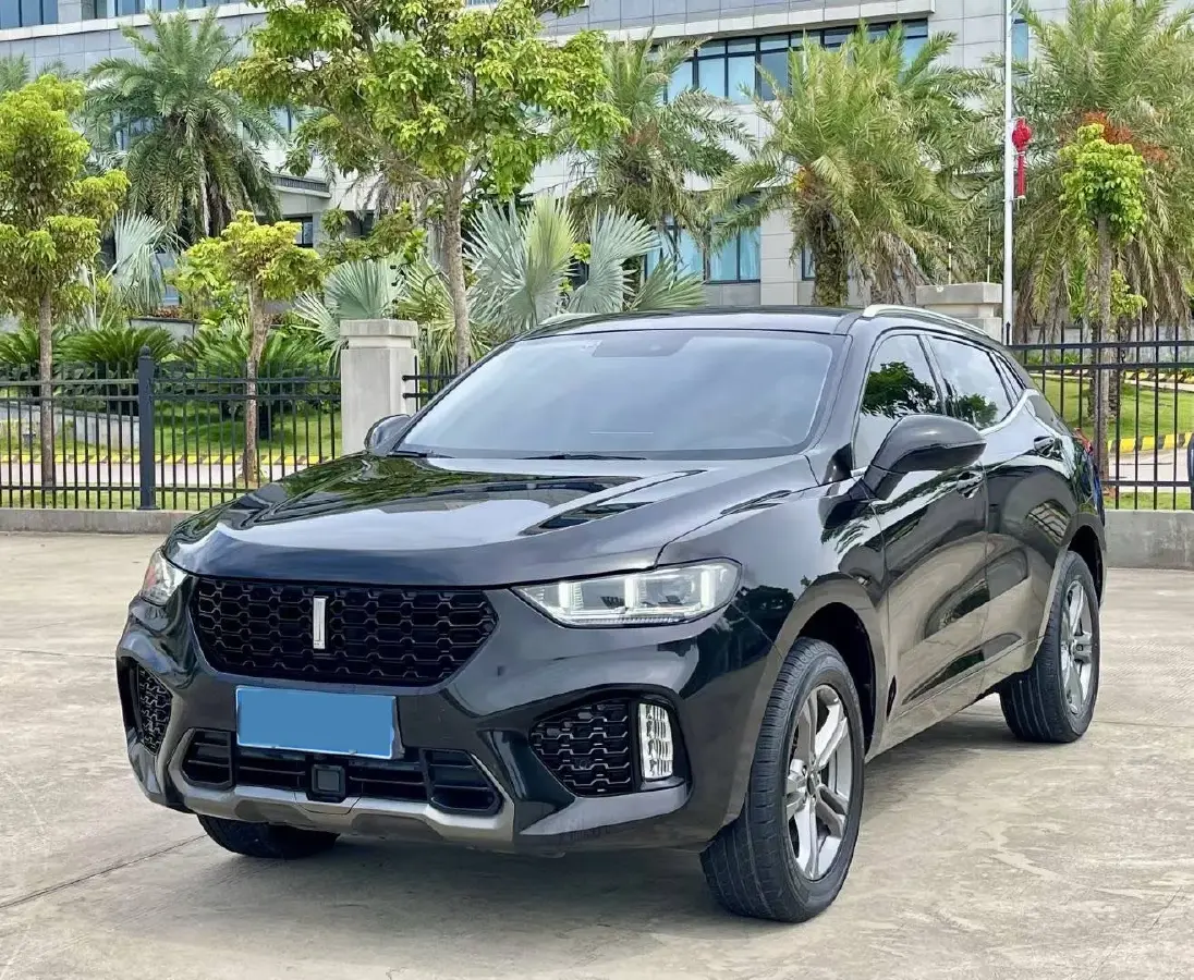 2019 WEY VV5 2.0T 197HP L4 7DCT