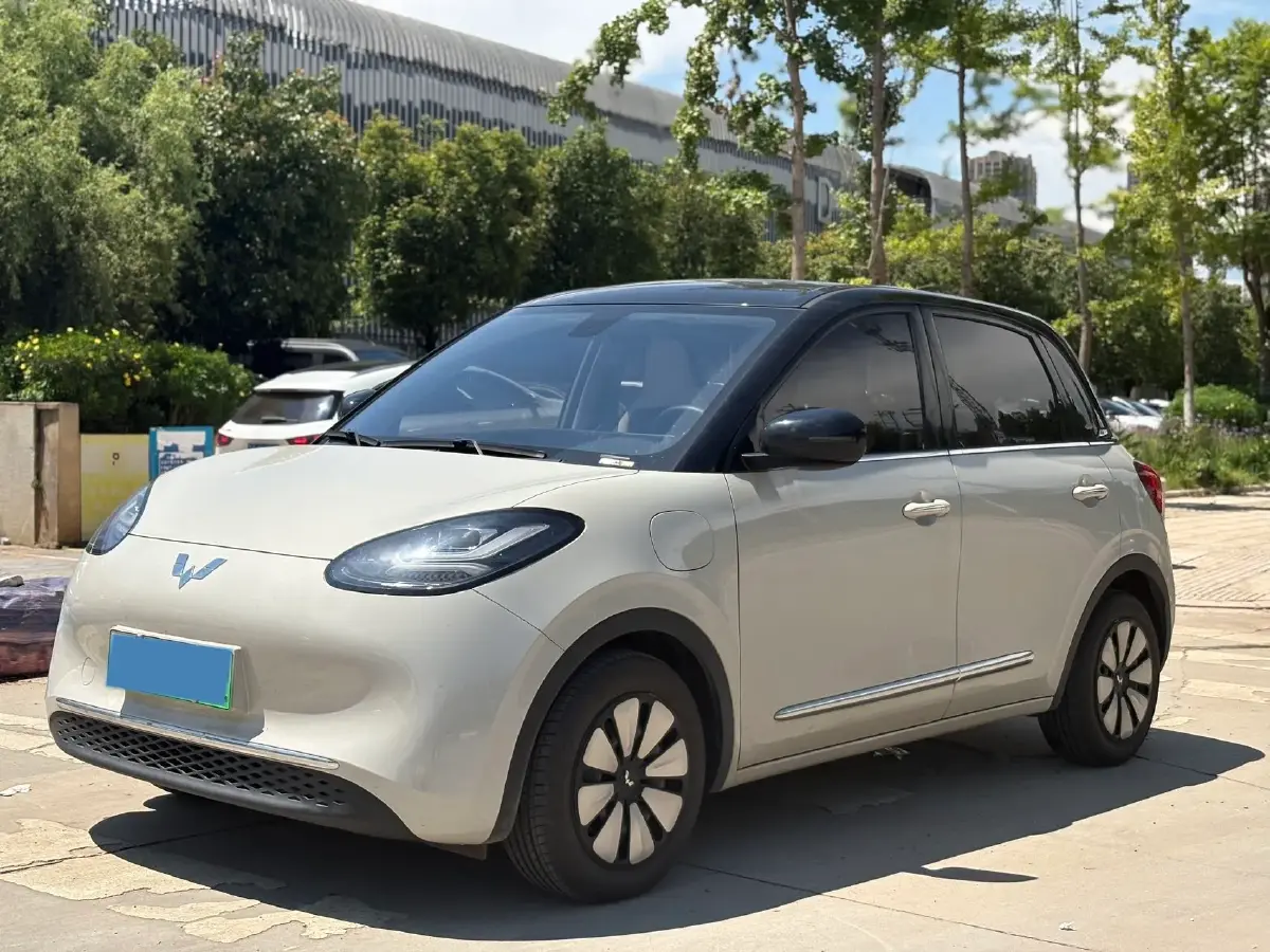 2023 WuLing BinGuo BEV 37.9KWH