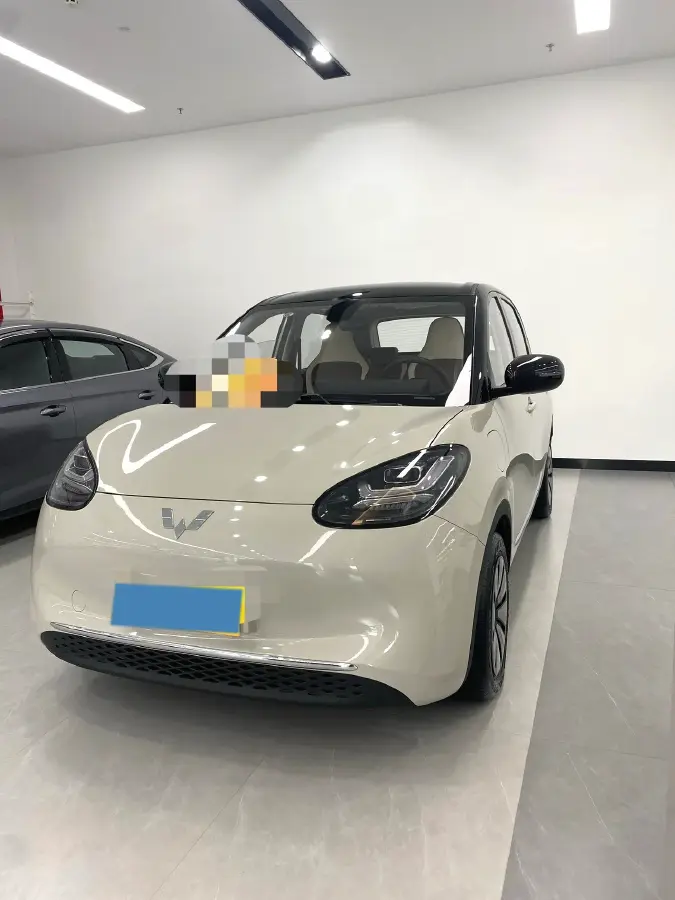 2023 WuLing BinGuo BEV 37.9KWH
