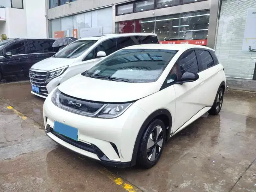 2021 BYD Dolphin BEV 44.9KWH