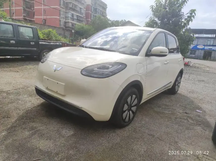 2025 WuLing BinGuo BEV