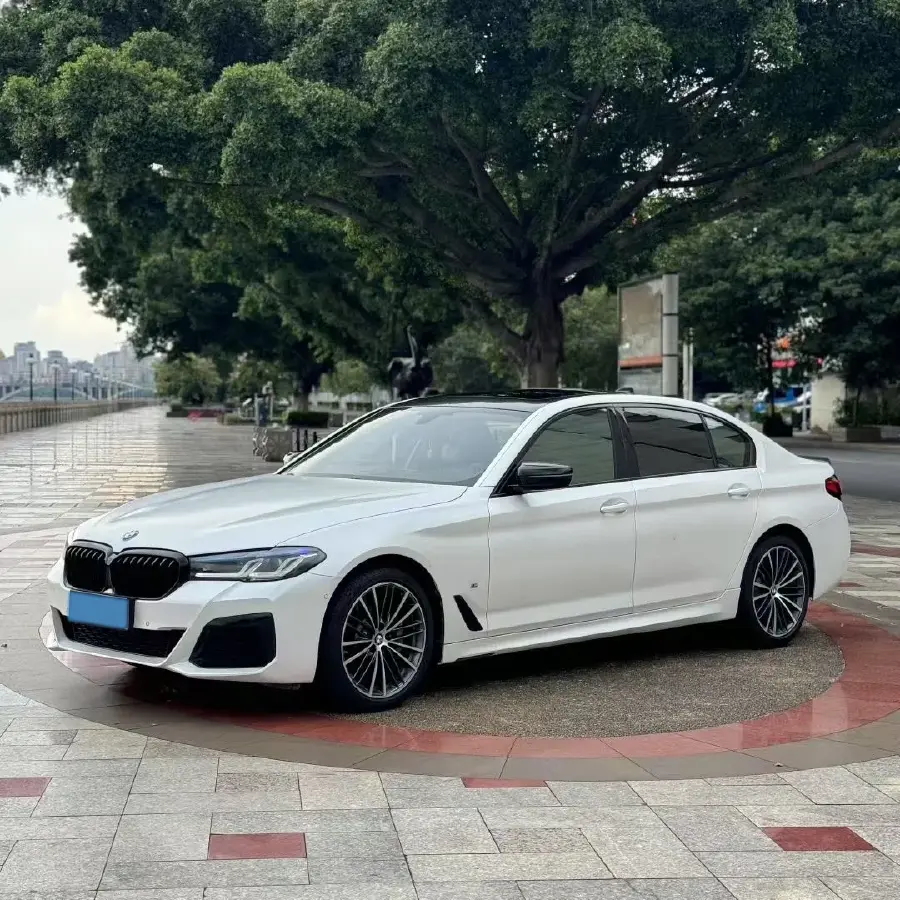 2020 BMW 5 Series 2.0T 252HP L4 8AT