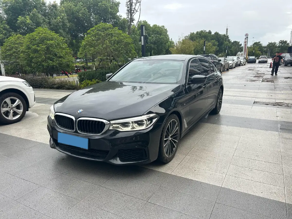2020 BMW 5 Series 2.0T 252HP L4 8AT