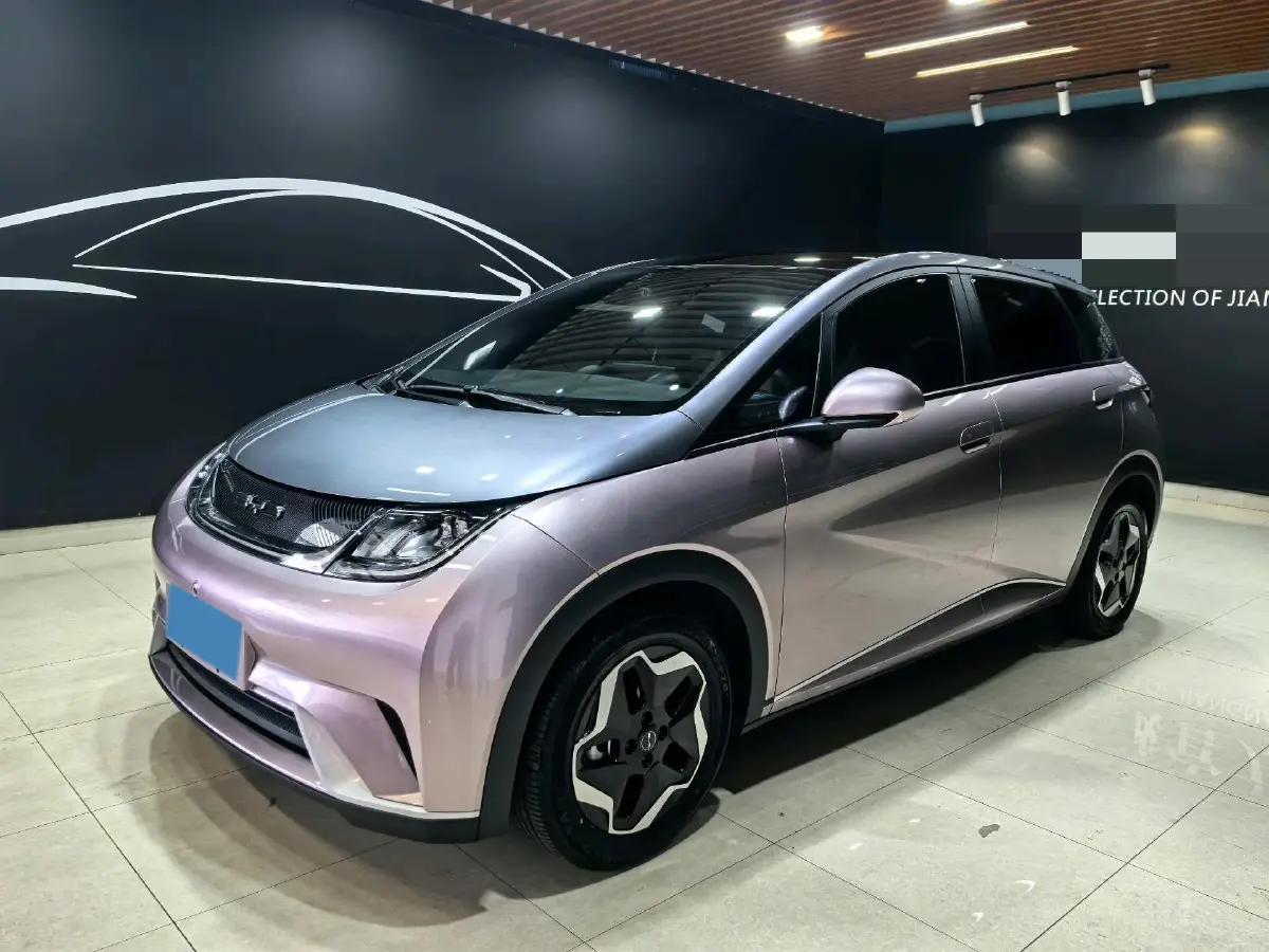 2021 BYD Dolphin BEV 44.9KWH