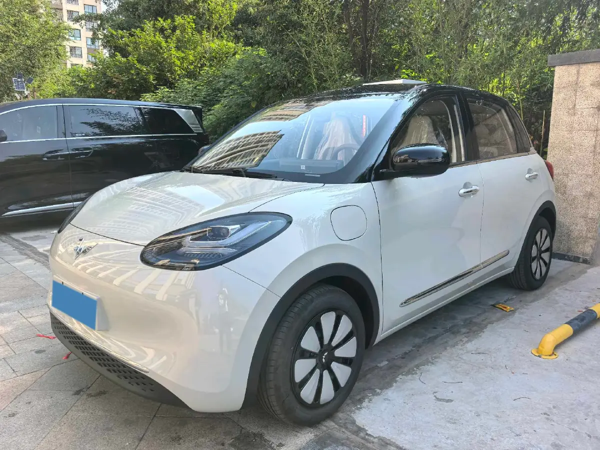 2025 WuLing BinGuo BEV
