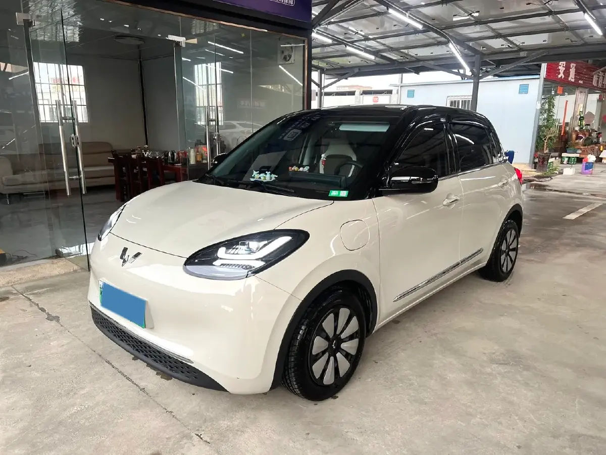 2023 WuLing BinGuo BEV 31.9KWH