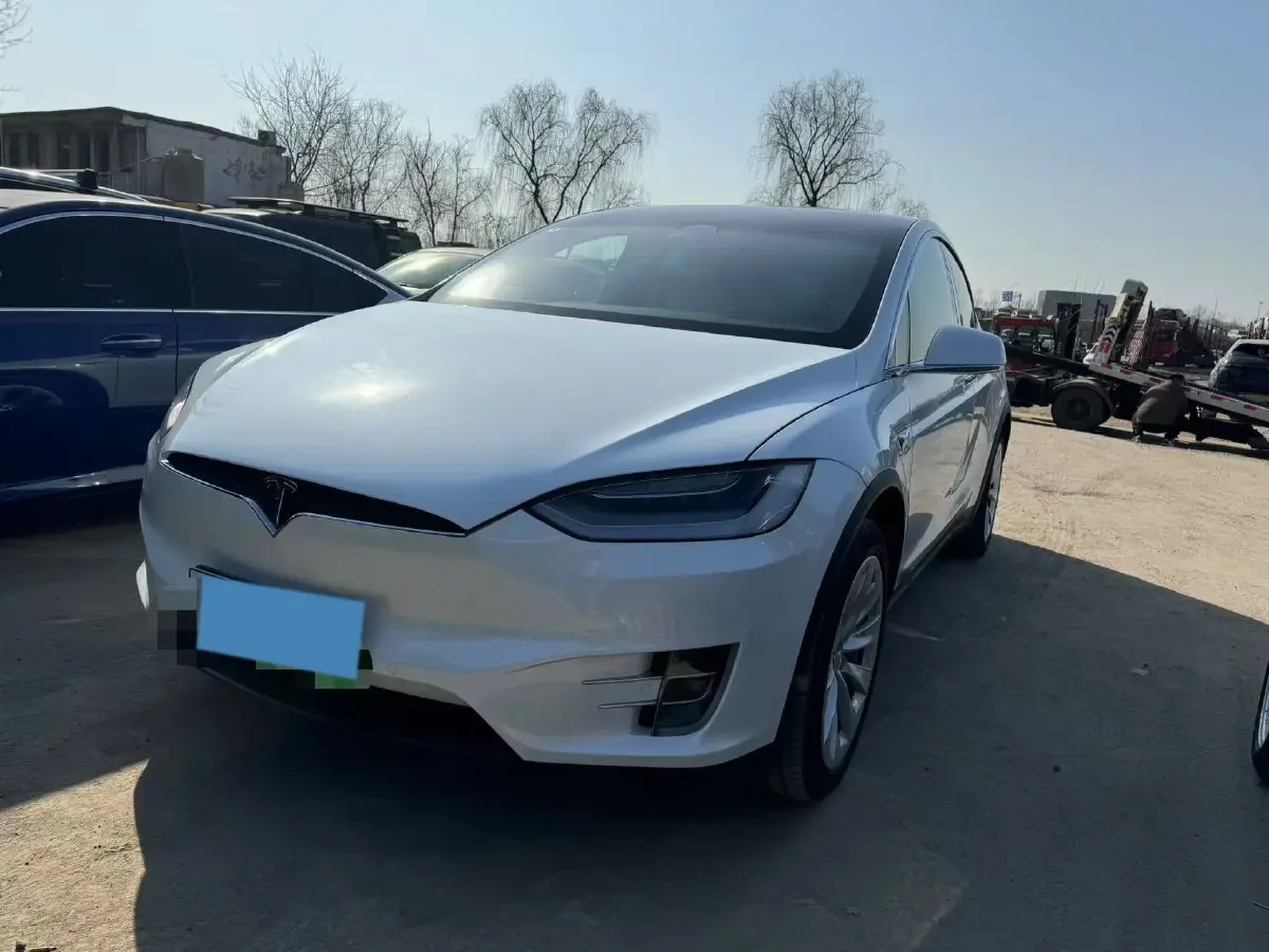 2021 Tesla Model X BEV 100KWH