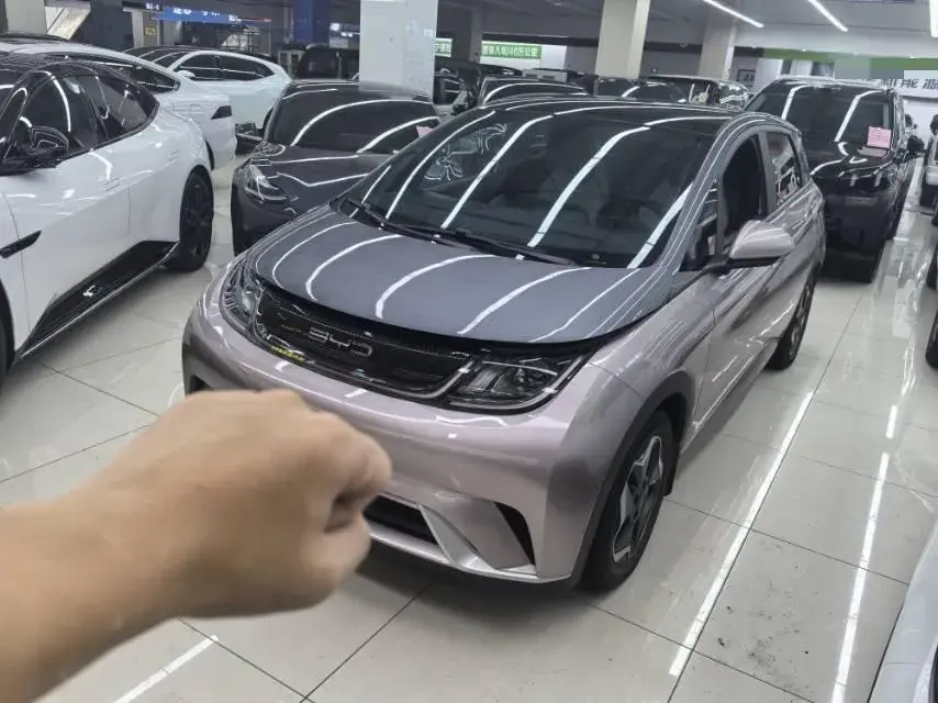 2021 BYD Dolphin BEV 44.9KWH