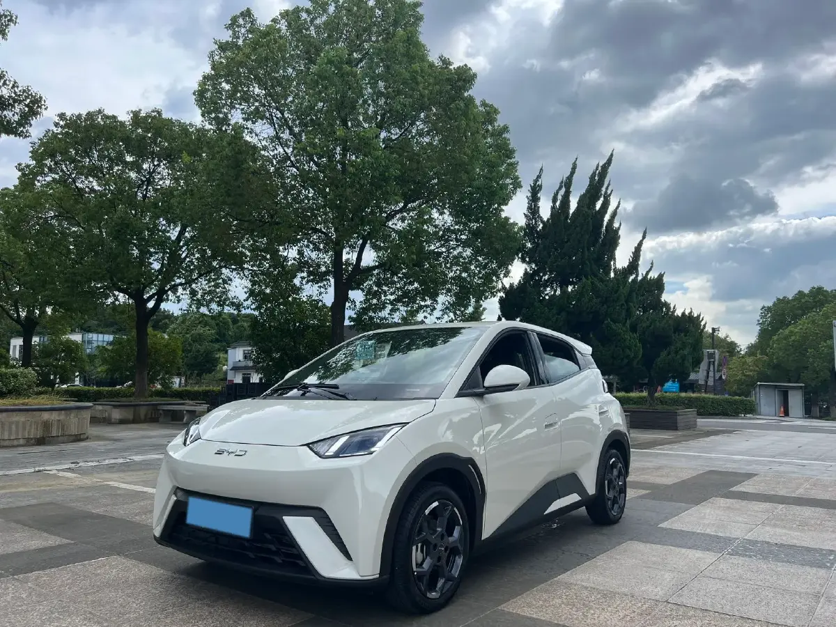 2025 BYD Seagull BEV 38.88KWH