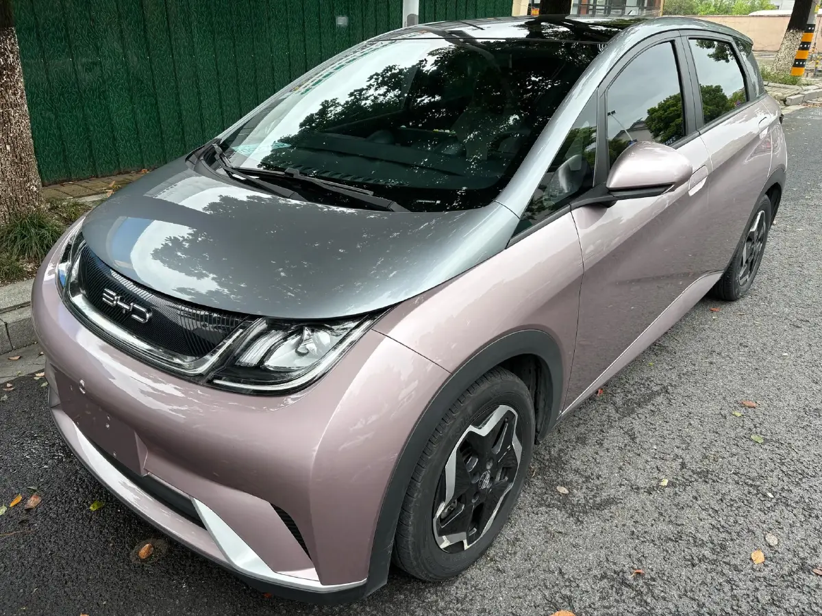 2021 BYD Dolphin BEV 44.9KWH
