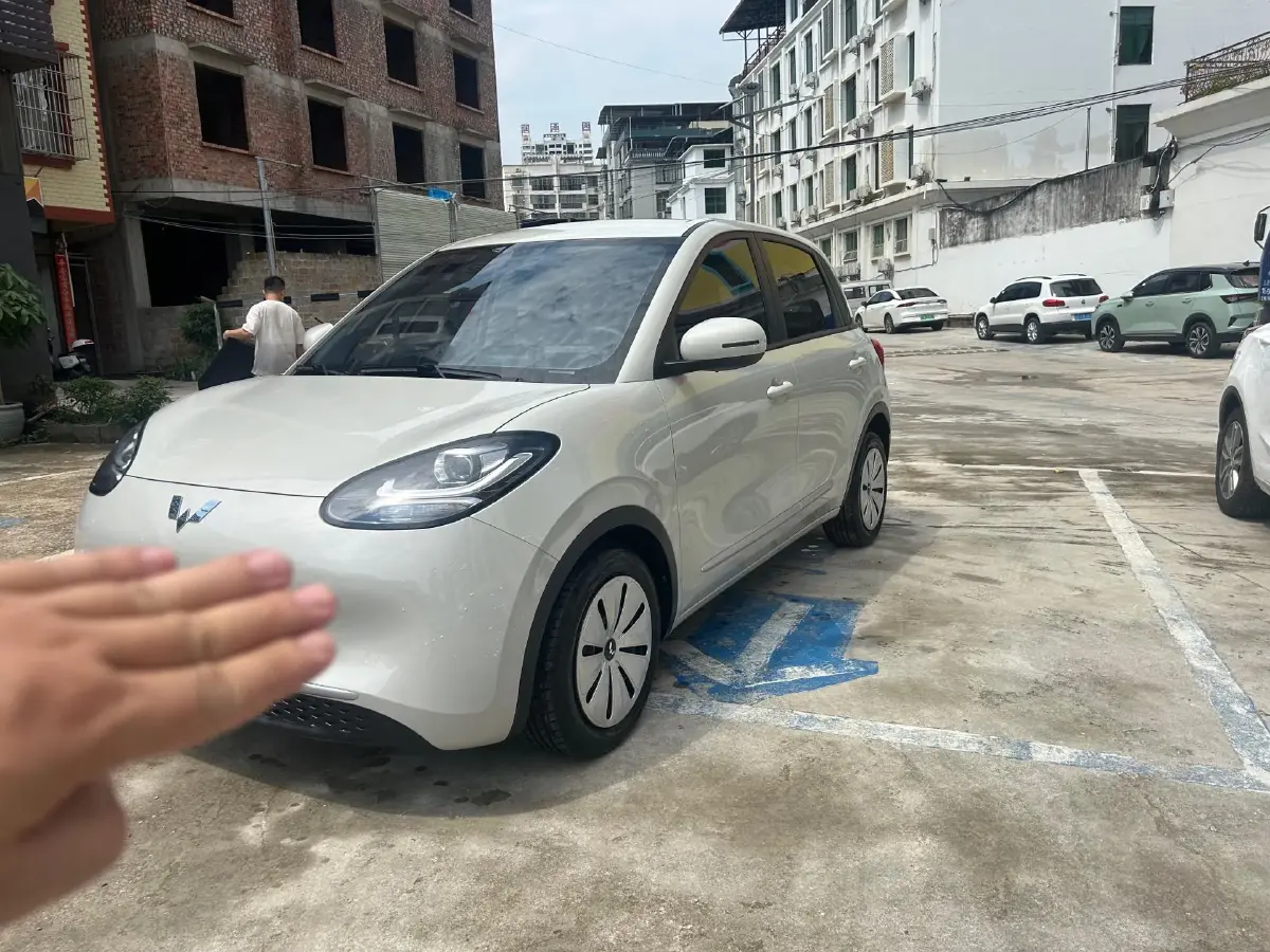 2023 WuLing BinGuo BEV 17.3KWH