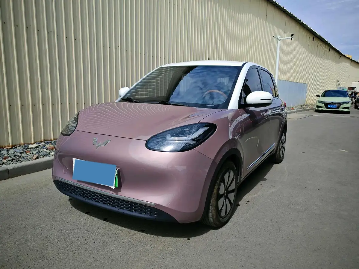 2023 WuLing BinGuo BEV 31.9KWH