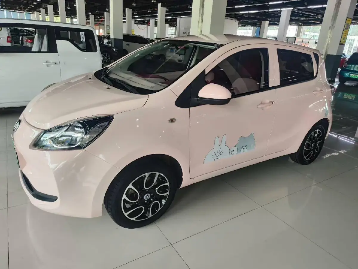 2021 ChangAn BenBen E-Star BEV 31.95KWH