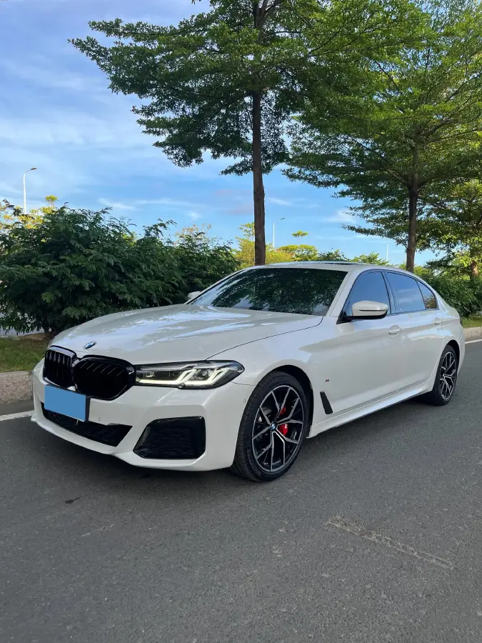 2022 BMW 5 Series 2.0T 252HP L4 8AT