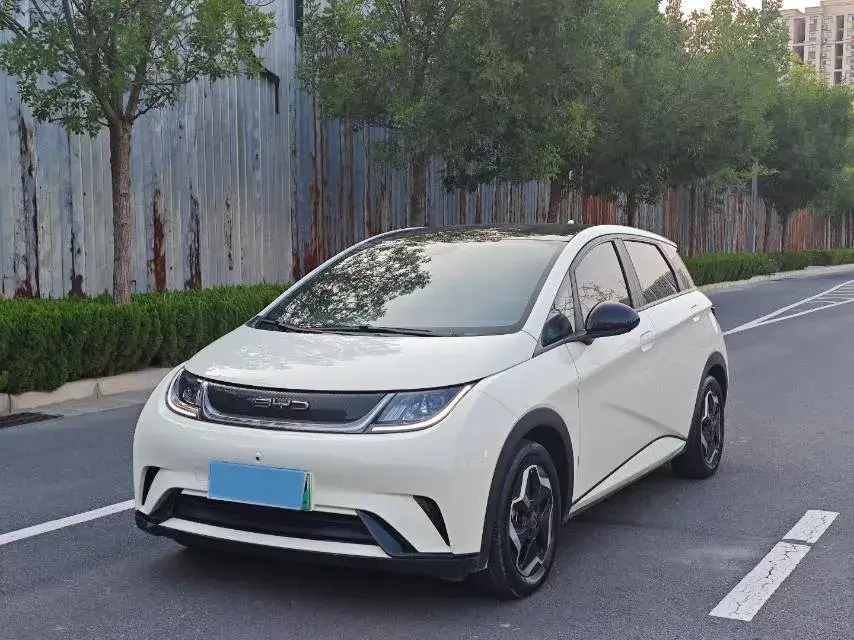 2021 BYD Dolphin BEV 44.9KWH