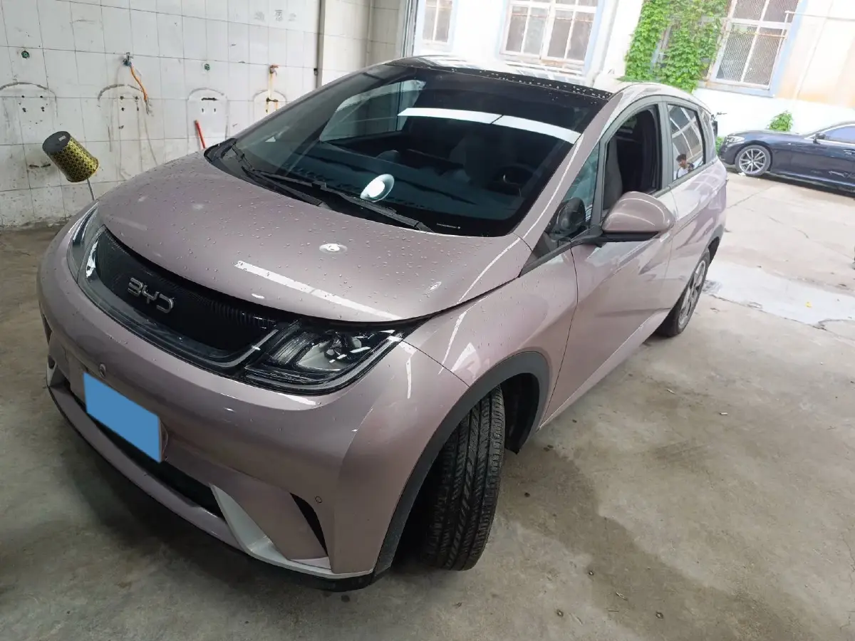 2024 BYD Dolphin BEV 44.928KWH