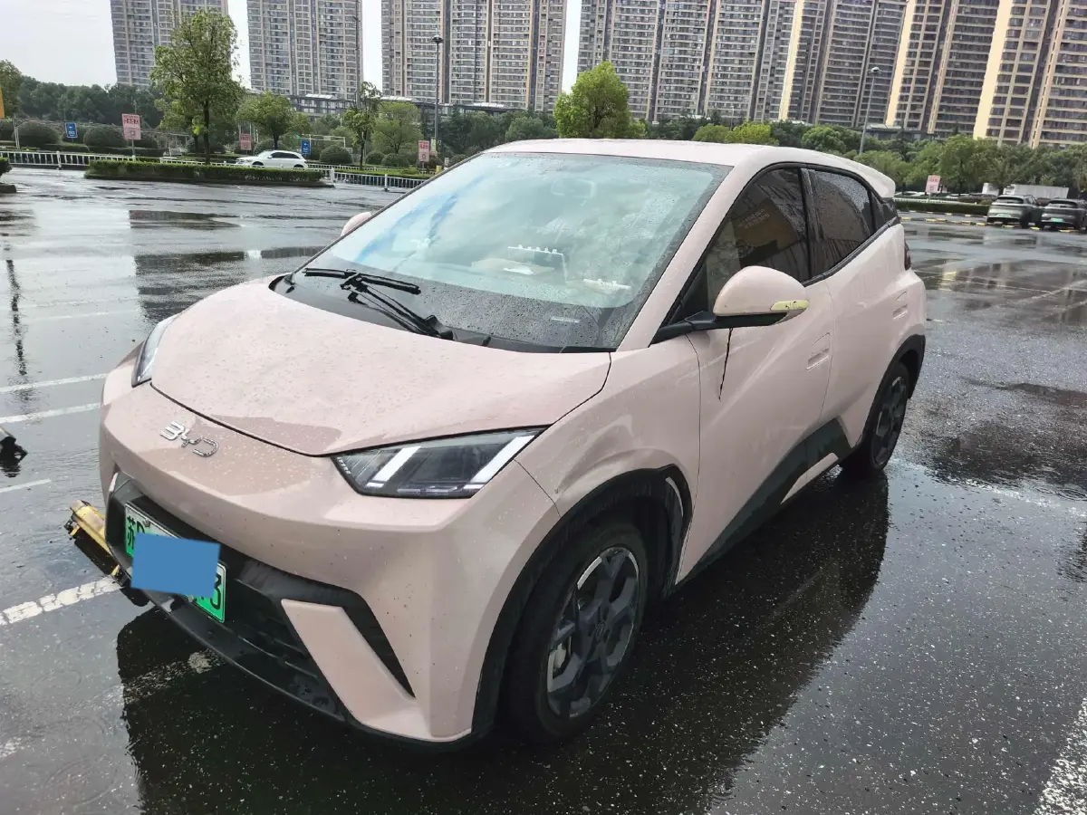 2024 BYD Seagull BEV 38.88KWH