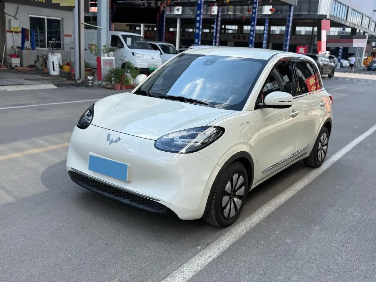 2023 WuLing BinGuo BEV 31.9KWH