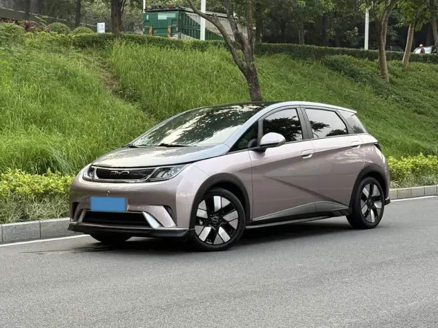 2021 BYD Dolphin BEV 44.9KWH