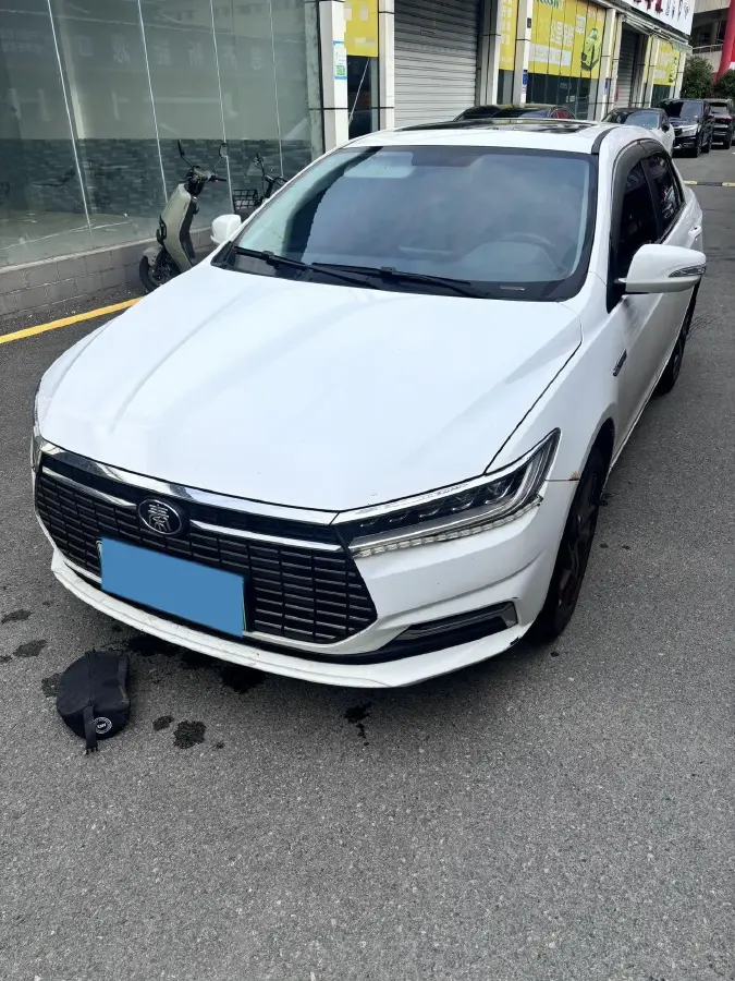 2019 BYD Qin BEV 53.1KWH