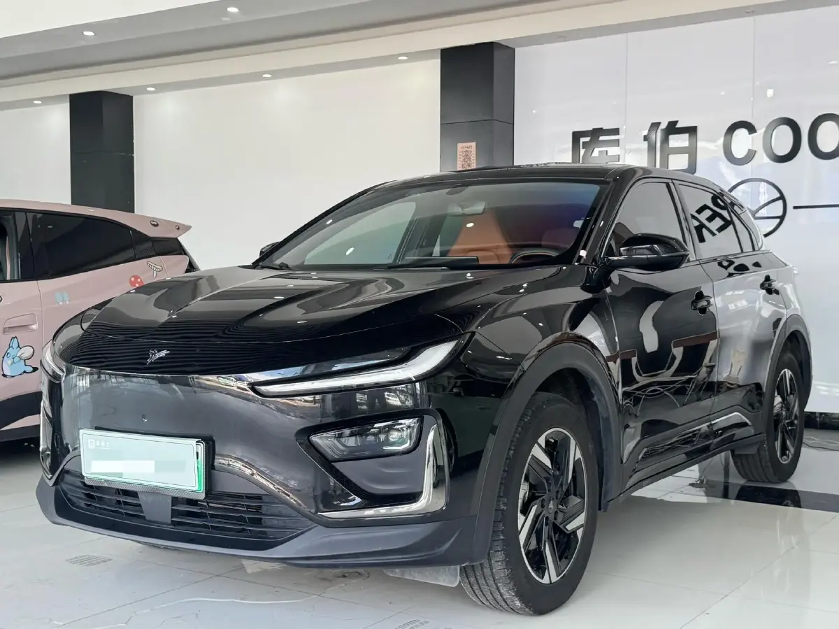 2025 Neta X BEV 63.5KWH