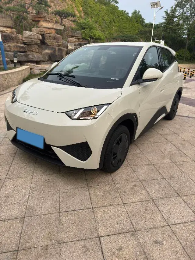 2025 BYD Seagull BEV 30.08KWH