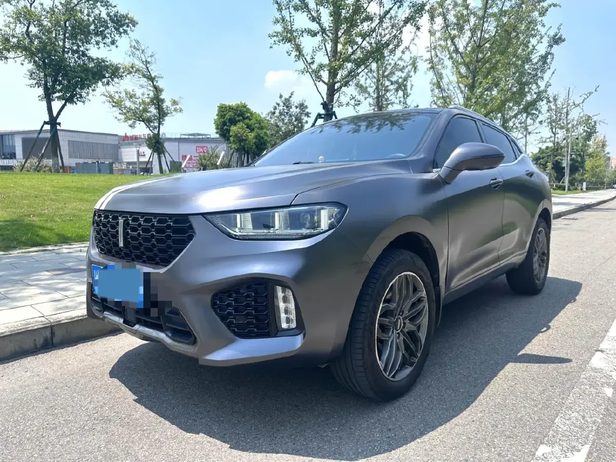 2019 WEY VV5 2.0T 224HP L4 7DCT