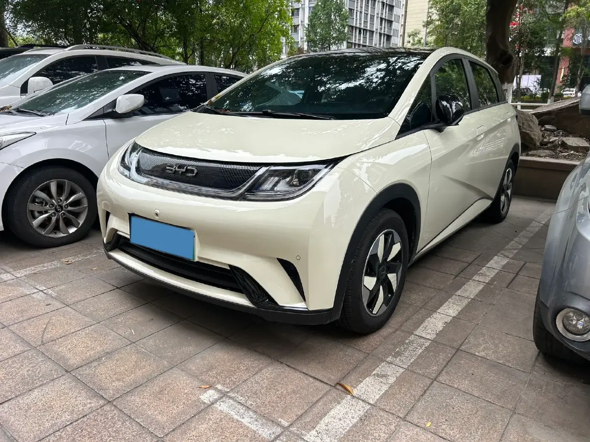 2025 BYD Dolphin BEV 44.928KWH