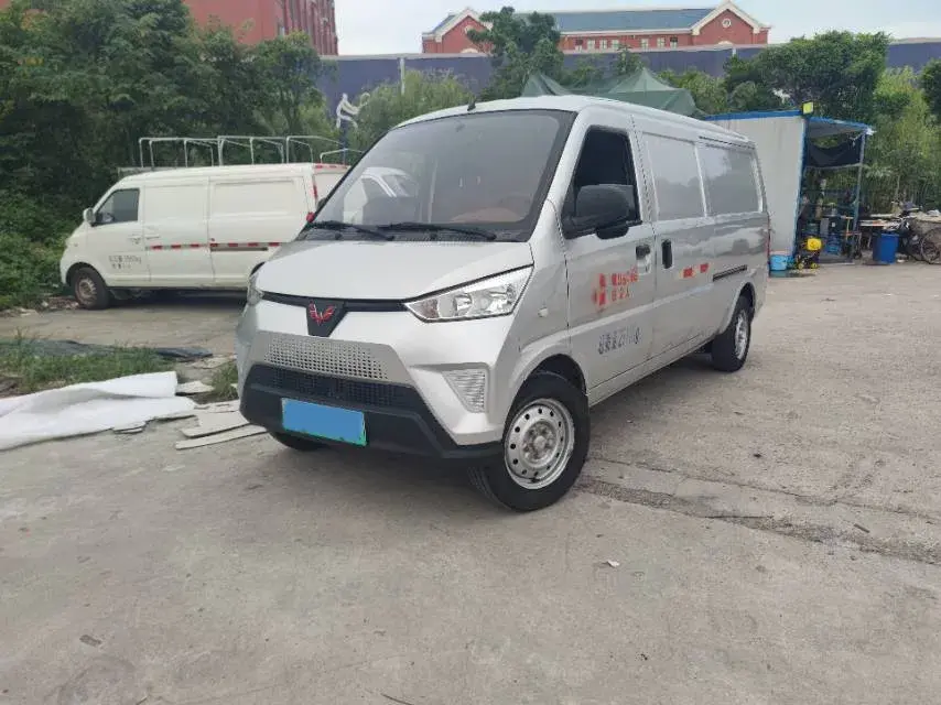 2021 WuLing EV50 BEV 41.86KWH