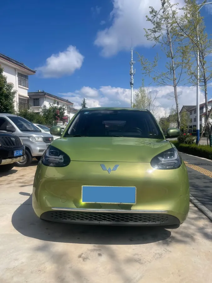 2023 WuLing BinGuo BEV 31.9KWH,autocango,china used car exporter,china ev exporter,chinese used car exporter,chinese used ev exporter