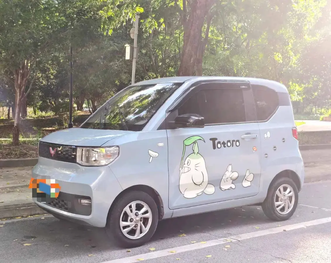 2020 WuLing HongGuang MINI EV BEV 13.8KWH