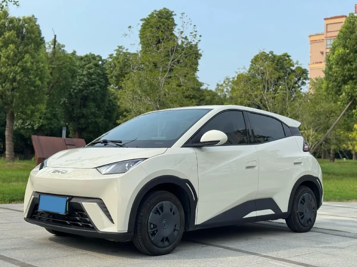 2024 BYD Seagull BEV 30.08KWH