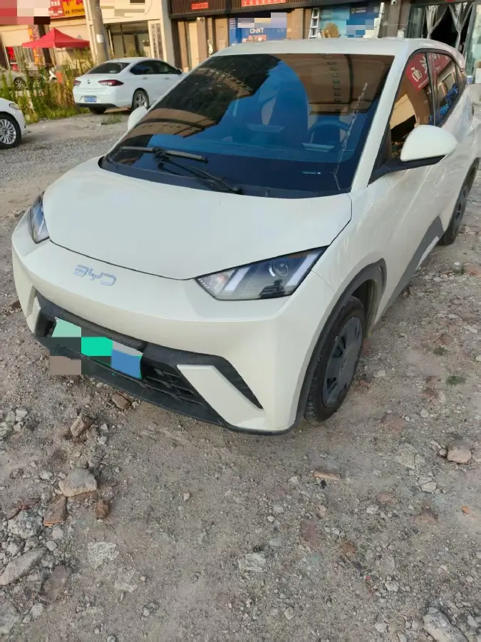 2025 BYD Seagull BEV 30.08KWH