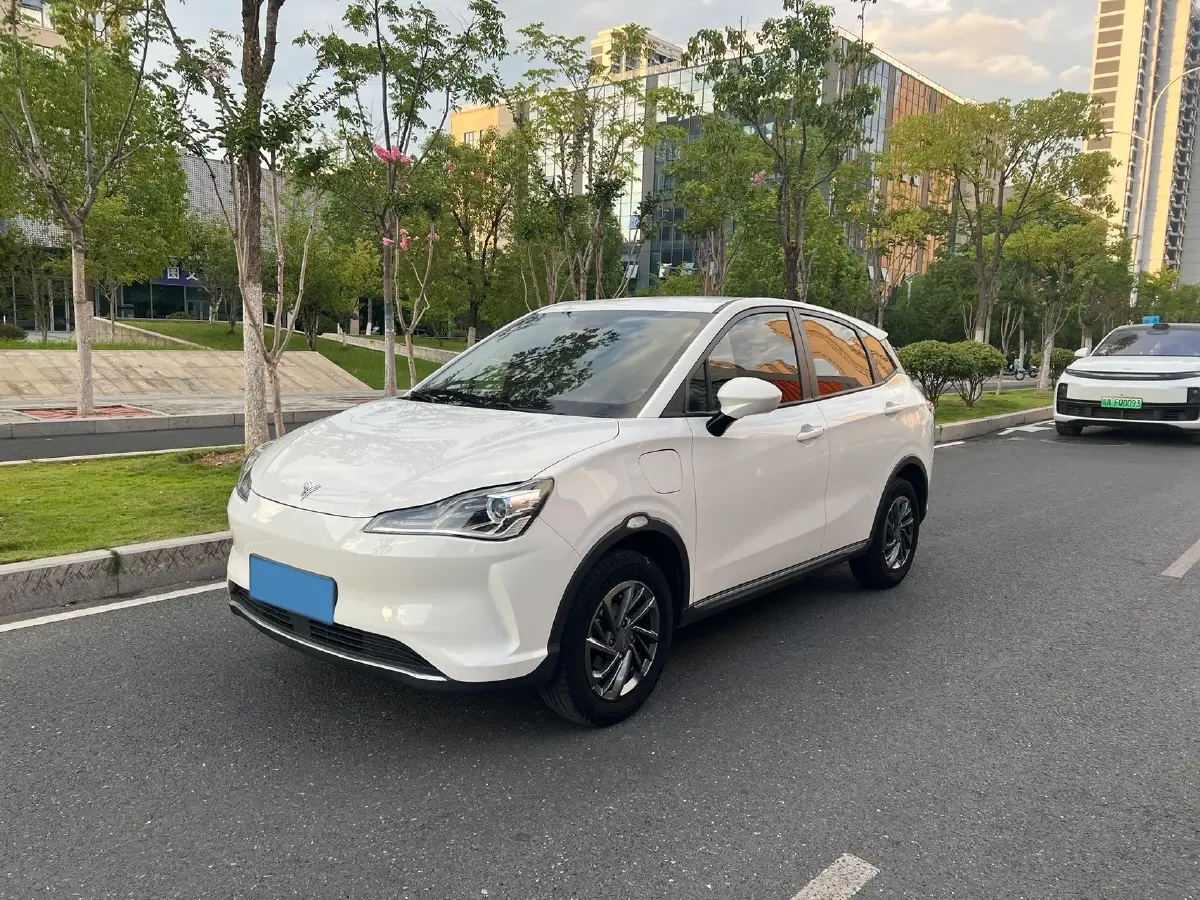 2022 Neta V BEV 31.7KWH
