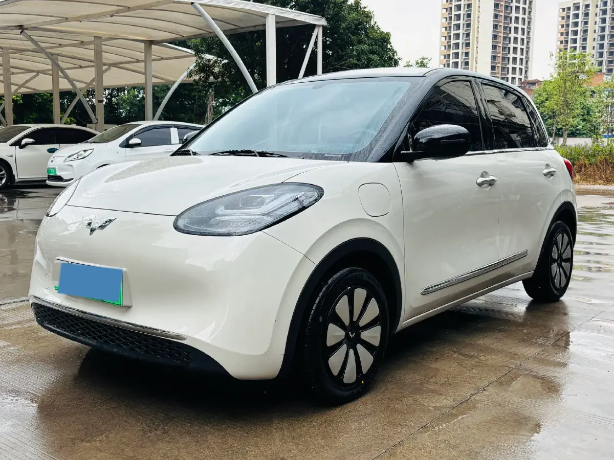 2024 WuLing BinGuo BEV 31.9KWH