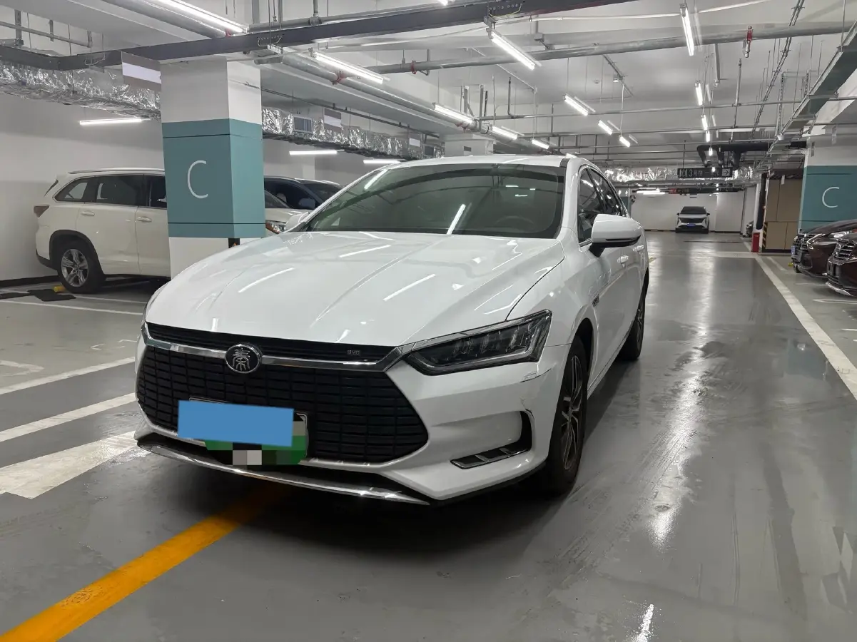 2019 BYD Qin Pro BEV 53.1KWH