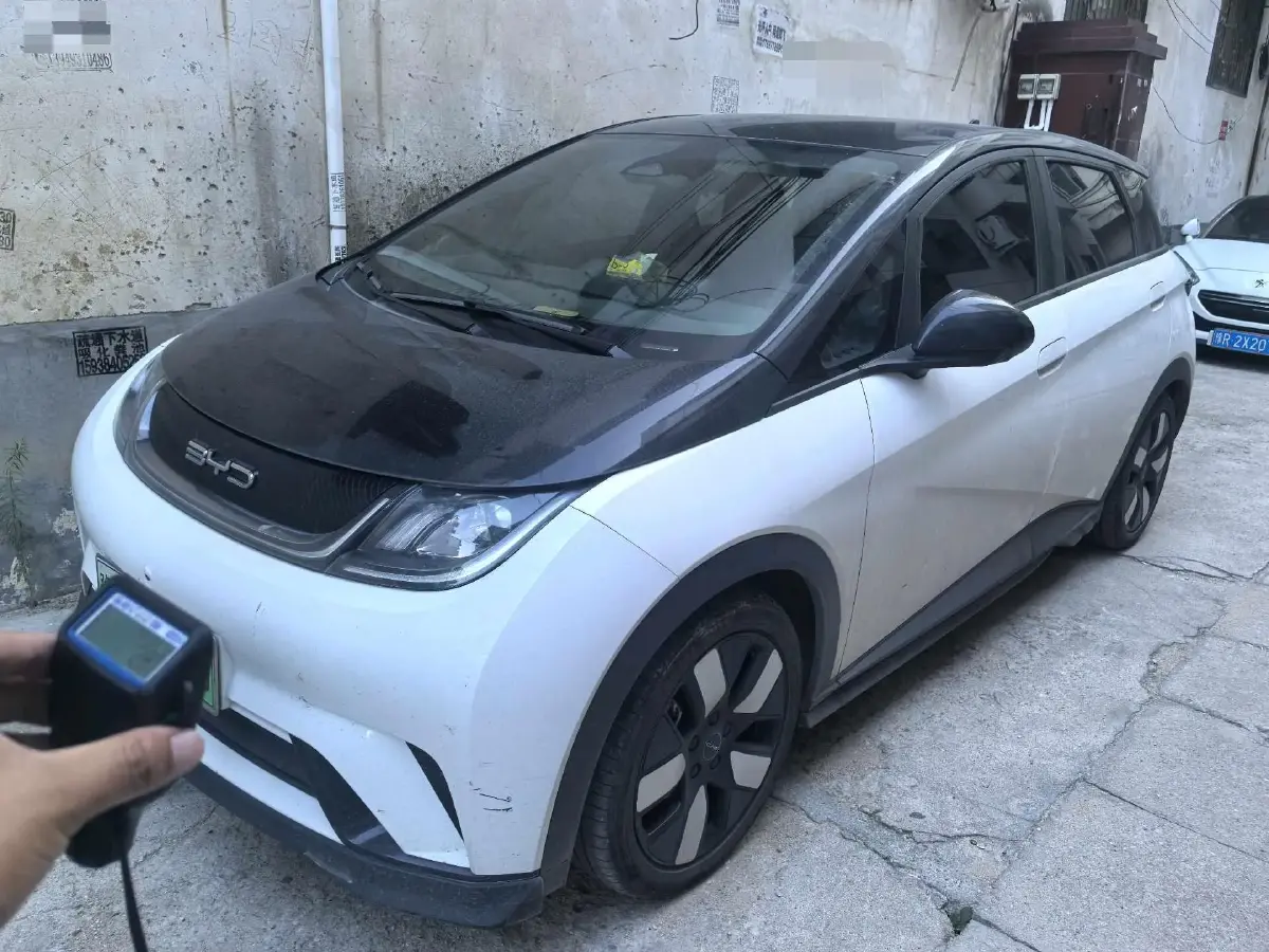 2021 BYD Dolphin BEV 44.9KWH