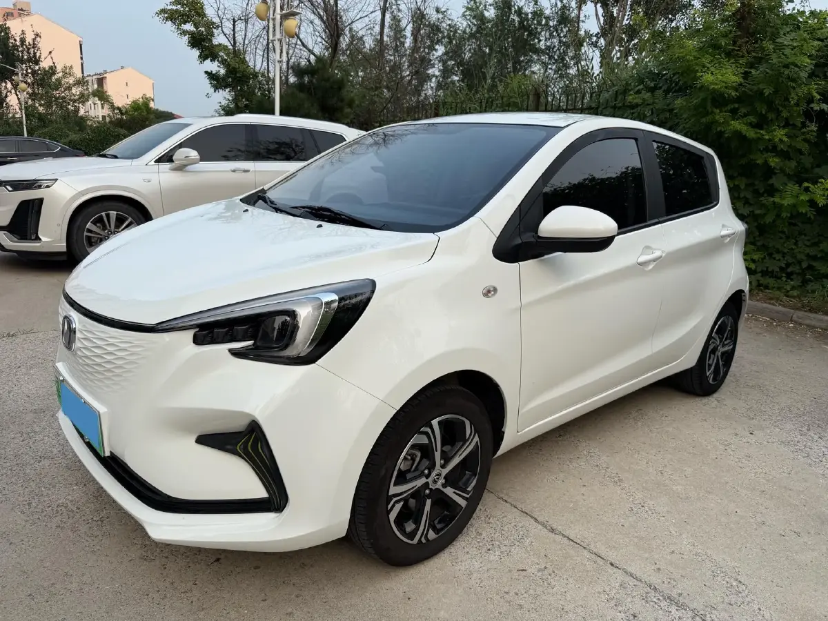 2023 ChangAn BenBen E-Star BEV 30.95KWH