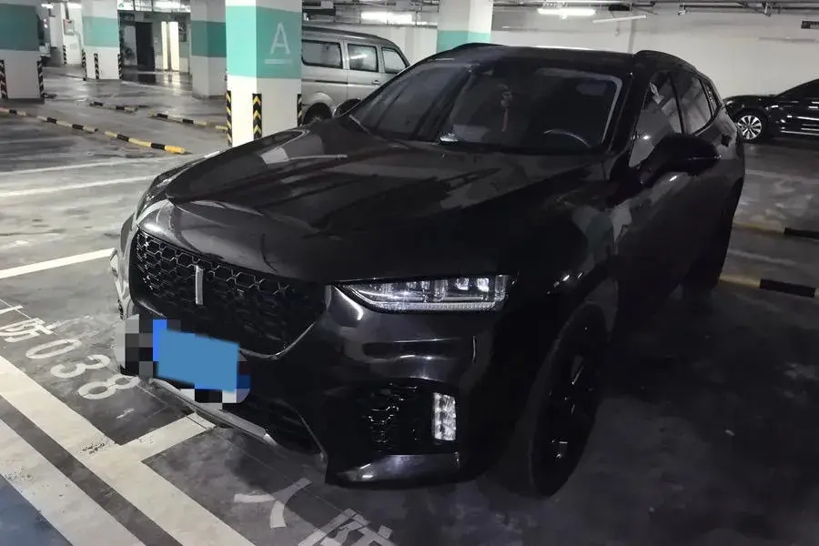 2019 WEY VV7 2.0T 227HP L4 7DCT