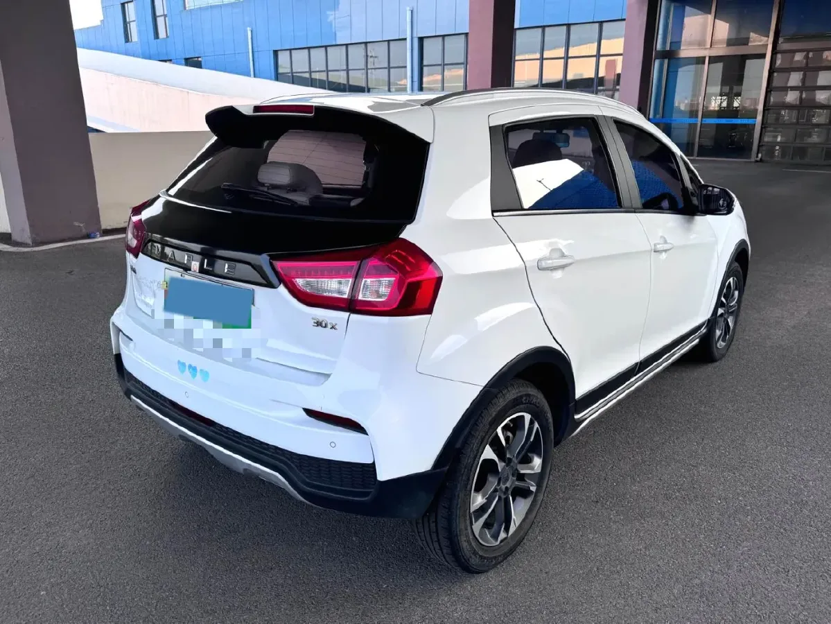 2020 Livan Maple 30X BEV 37KWH,autocango,china used car exporter,china ev exporter,chinese used car exporter,chinese used ev exporter