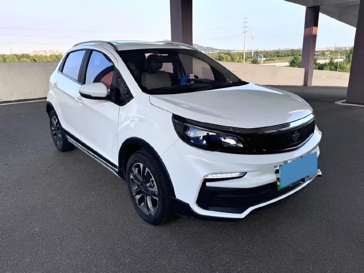 2020 Livan Maple 30X BEV 37KWH,autocango,china used car exporter,china ev exporter,chinese used car exporter,chinese used ev exporter