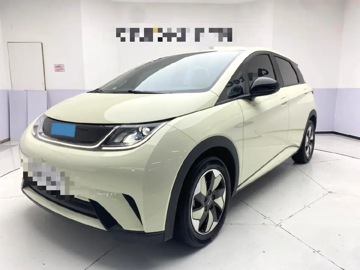 2024 BYD Dolphin BEV 44.928KWH