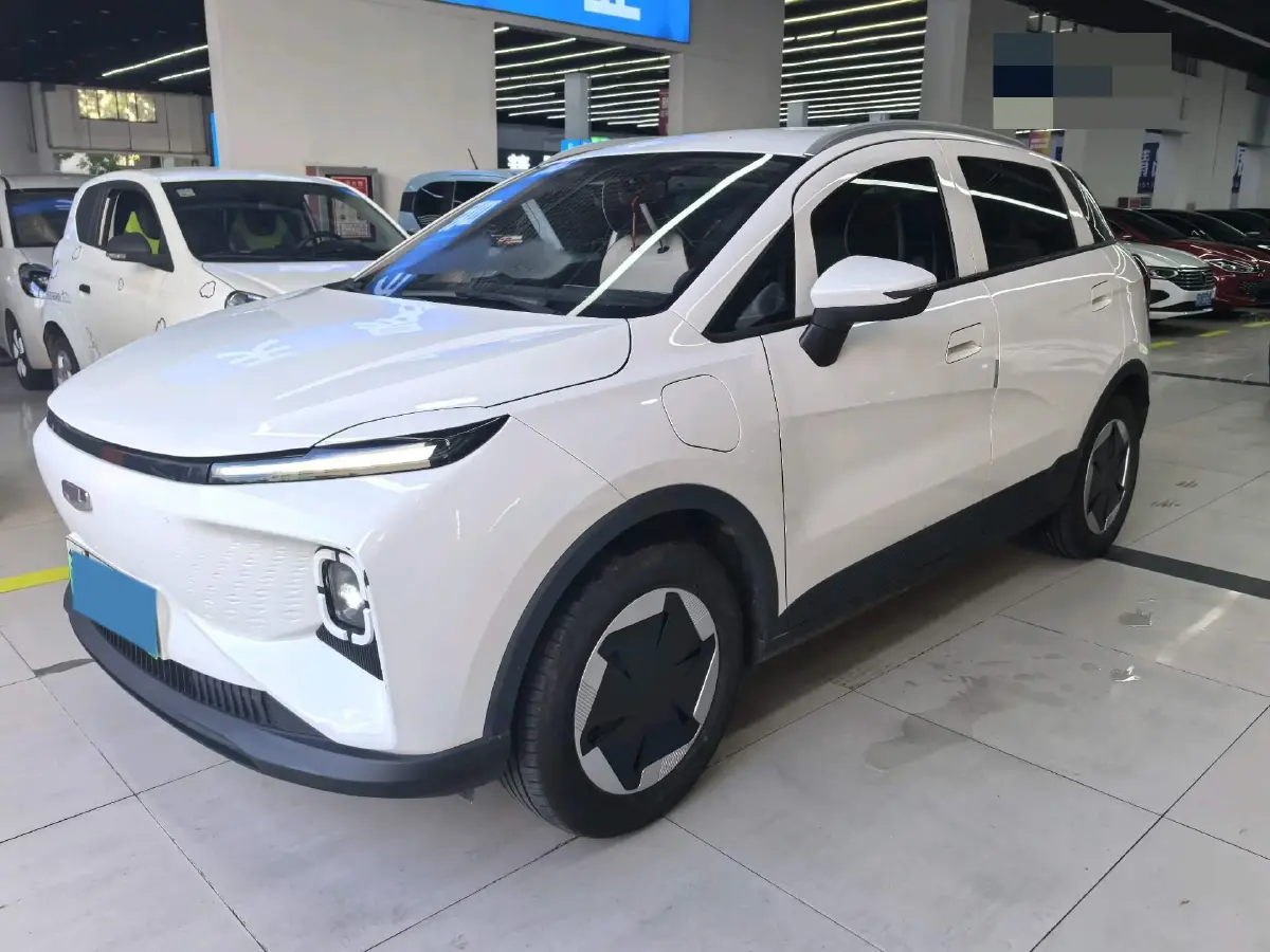 2024 Geometry E BEV 29.67KWH