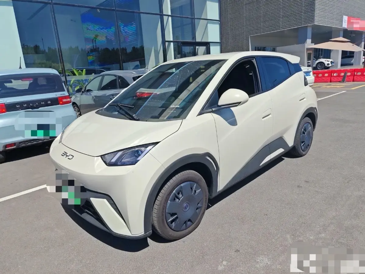 2025 BYD Seagull BEV 30.08KWH