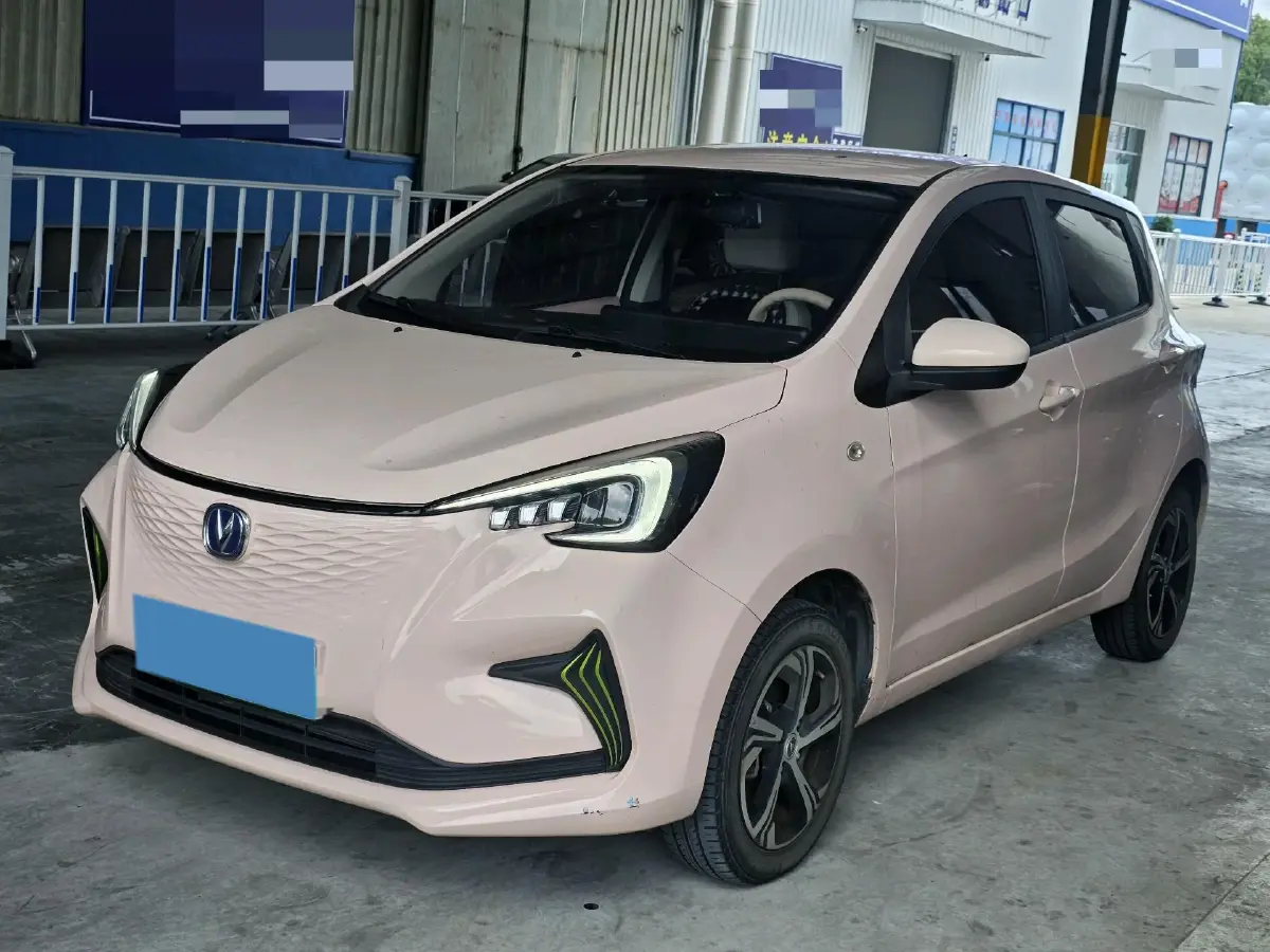 2022 ChangAn BenBen E-Star BEV 31.95KWH
