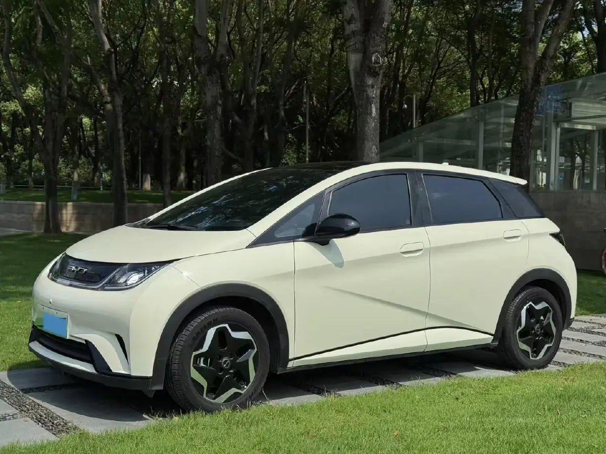 2021 BYD Dolphin BEV 44.9KWH