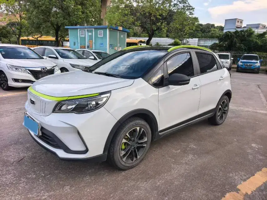 2021 Geometry EX3 BEV 37.23KWH