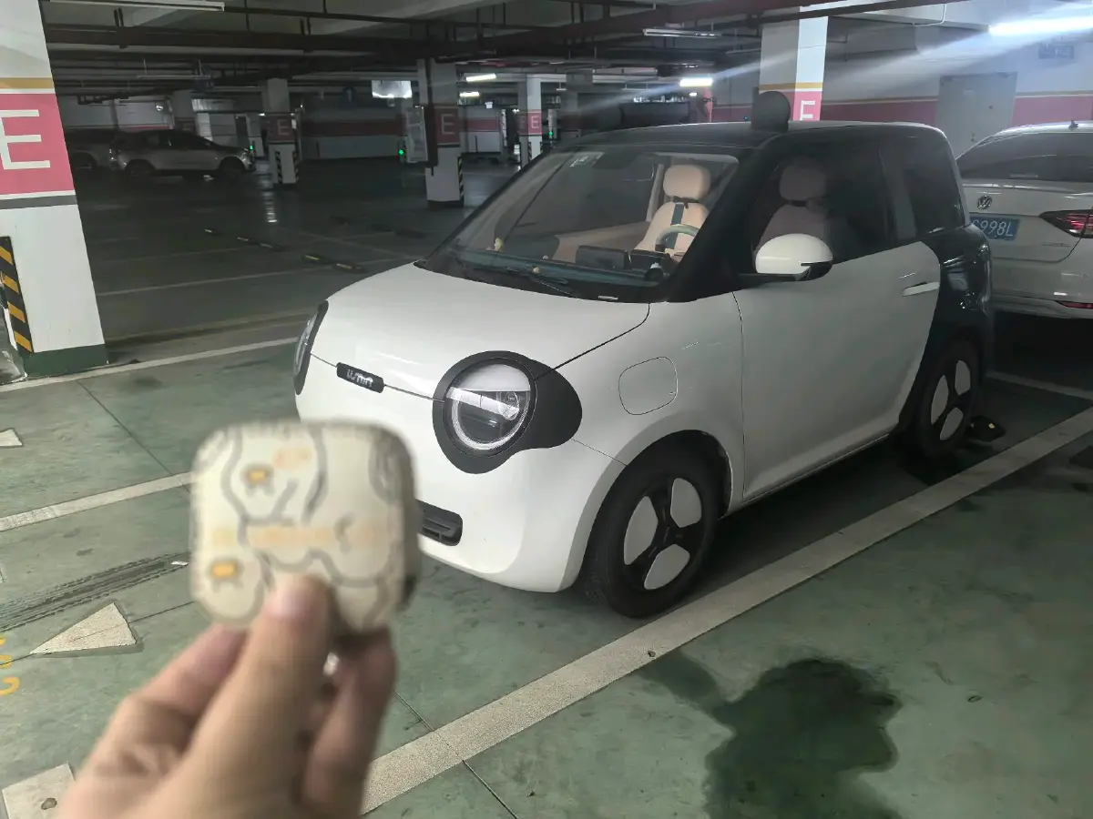 2022 ChangAn QiYuan Lumin BEV 17.65KWH