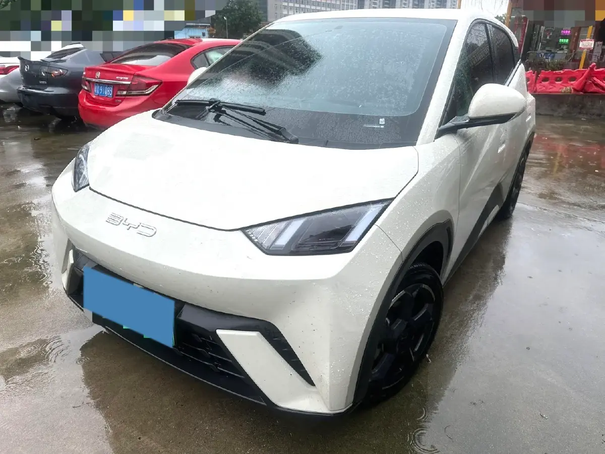 2023 BYD Seagull BEV 30.08KWH